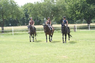 Springplatz - Equestrian Centre Austria