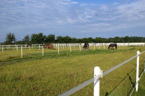 Koppel - Equestrian Centre Austria