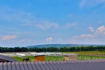 Koppel - Equestrian Centre Austria