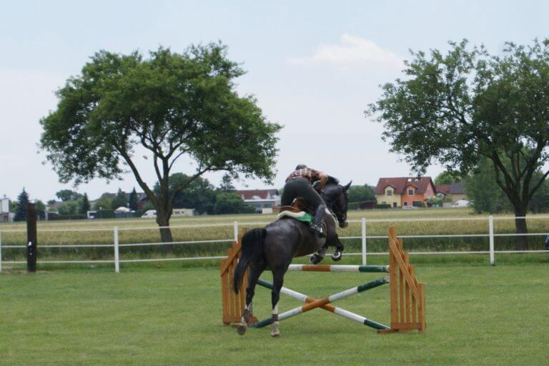 Springplatz - Equestrian Centre Austria